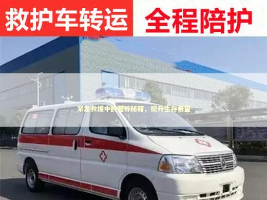 紧急救援中的营养秘籍，提升生存希望