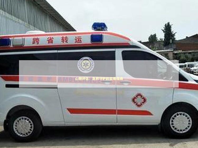 心肺评估：急救守护的实用指南
