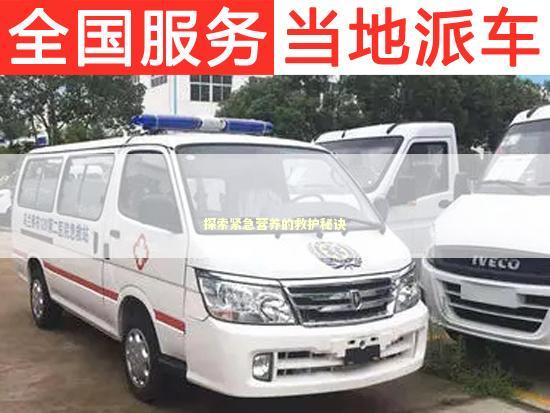 探索紧急营养的救护秘诀