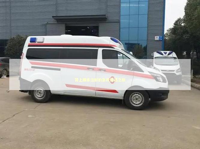 肾上腺素注射的急救奇遇之旅